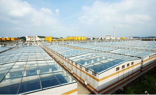 中国食品制造大王 调味品界的茅台，亿万富豪工厂的“不打酱油”经营哲学