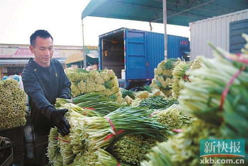 佛山南海建成消费帮扶黔货入粤集散地 助推食品经营升级