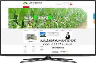 松江网站建设 打造专业商品图相册，提升品牌视觉力量